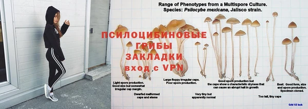спиды Краснослободск