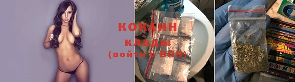 МДПВ Ладушкин