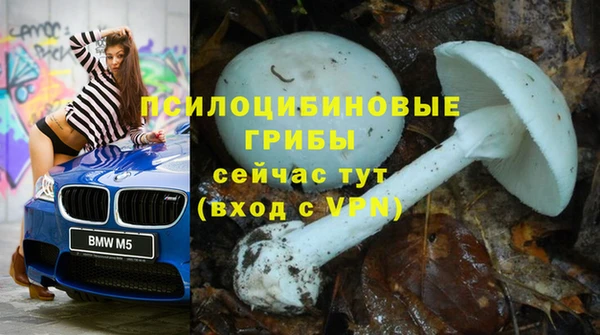 метадон Лабытнанги