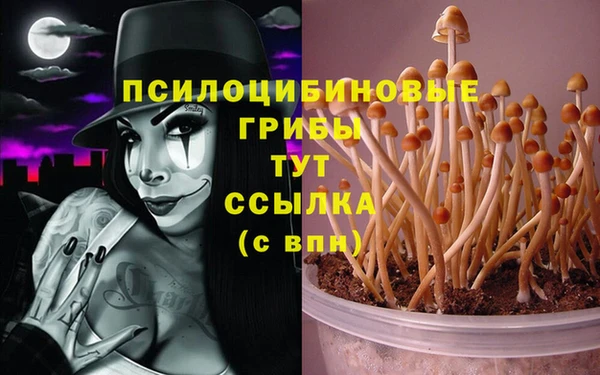 метадон Лабытнанги