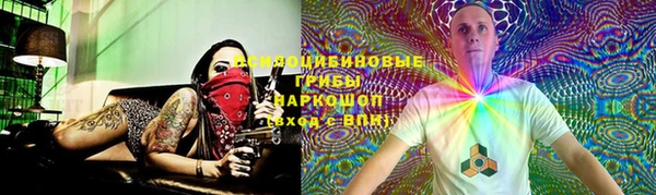 спиды Краснослободск
