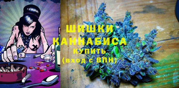 тгк Лагань