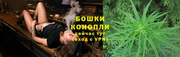 тгк Лагань