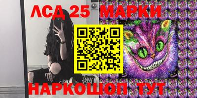 стафф Дубна