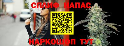 стафф Дубна
