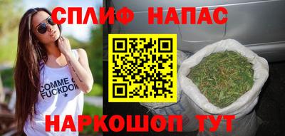 стафф Дубна