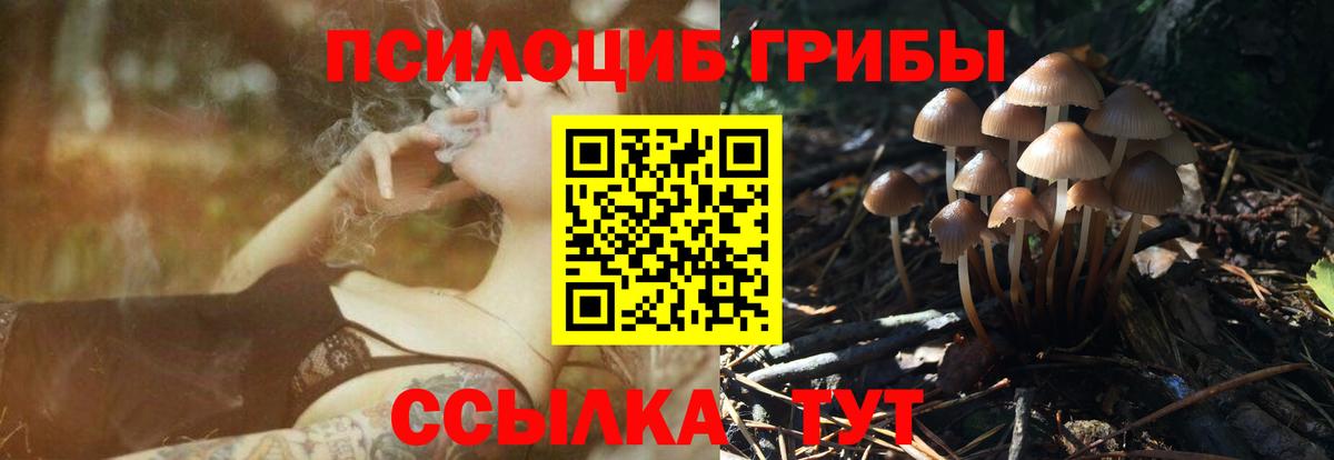 Галлюциногенные грибы Psilocybe  Вход с VPN  где можно купить   Курчатов 