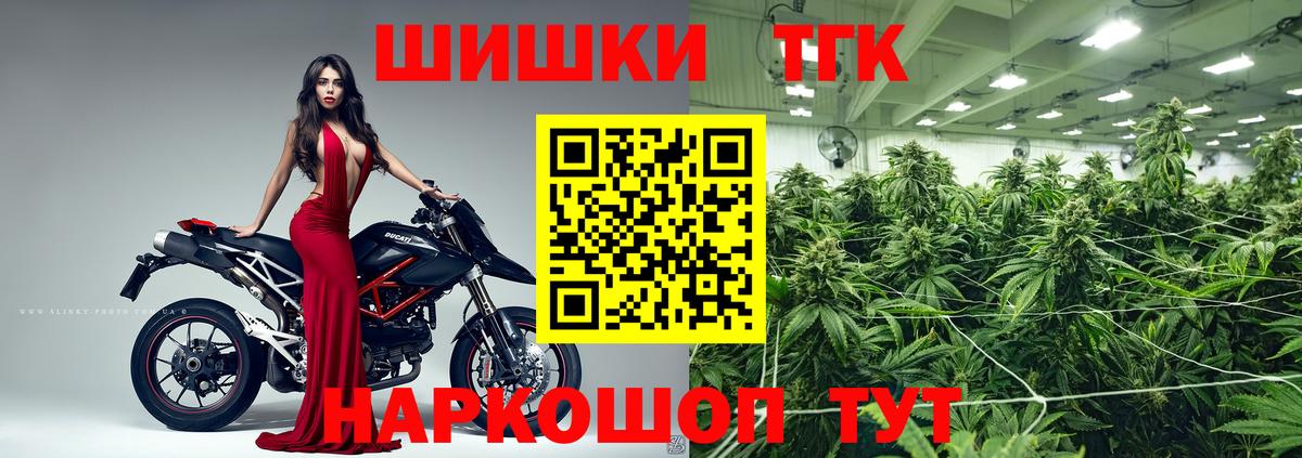 Конопля тримм  Вход с VPN  Марихуана сатива  Бошки марихуана марихуана  Курчатов  Бошки Шишки Bruce Banner 